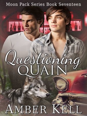 cover image of Questioning Quain